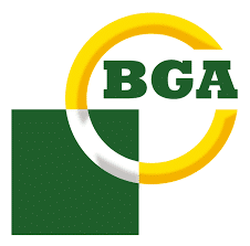 BG Automotive